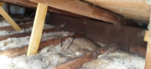 renforcement toiture et isolation