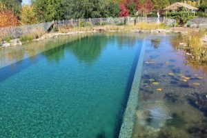 bassin-naturel-sur-piscine-existante