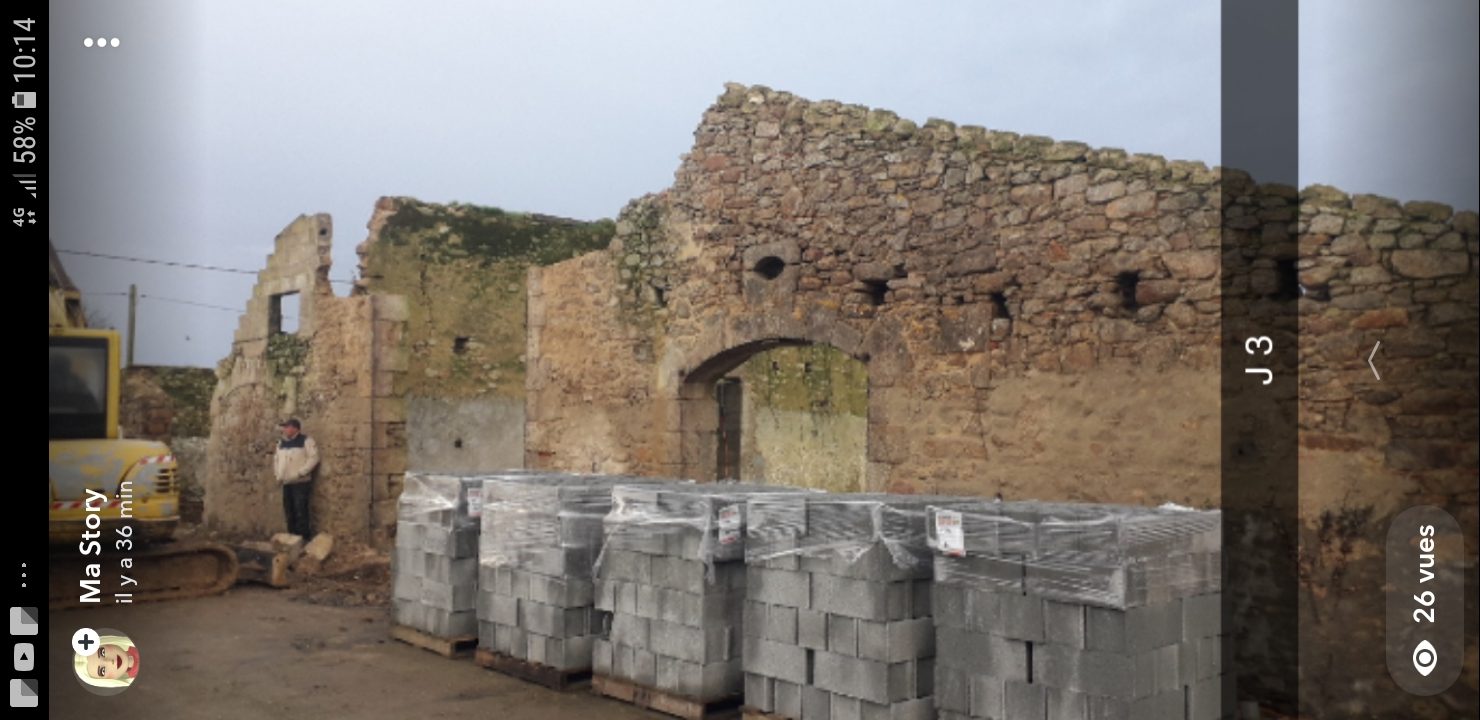Démontage de la toiture et des éléments de l'ancienne charpente